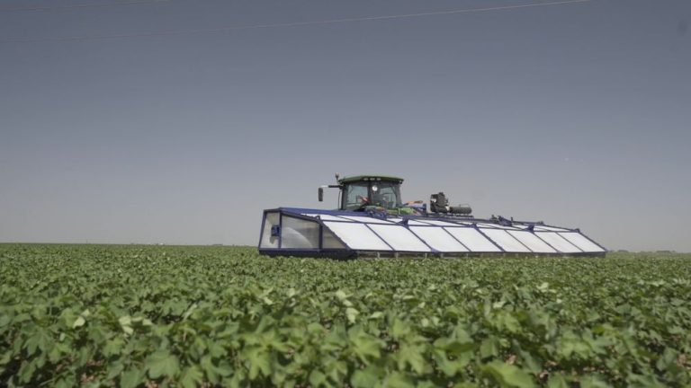 صورة واتساب بتاريخ 1447 03 03 في 19.41.45 190a284b