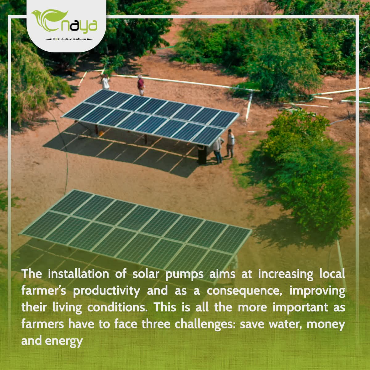 صورة واتساب بتاريخ 1447 03 04 في 22.43.33 bf661c1e