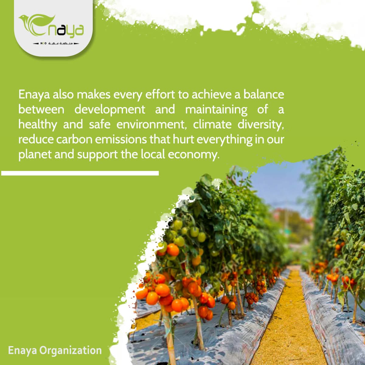 صورة واتساب بتاريخ 1447 03 04 في 22.43.33 fb54e85e